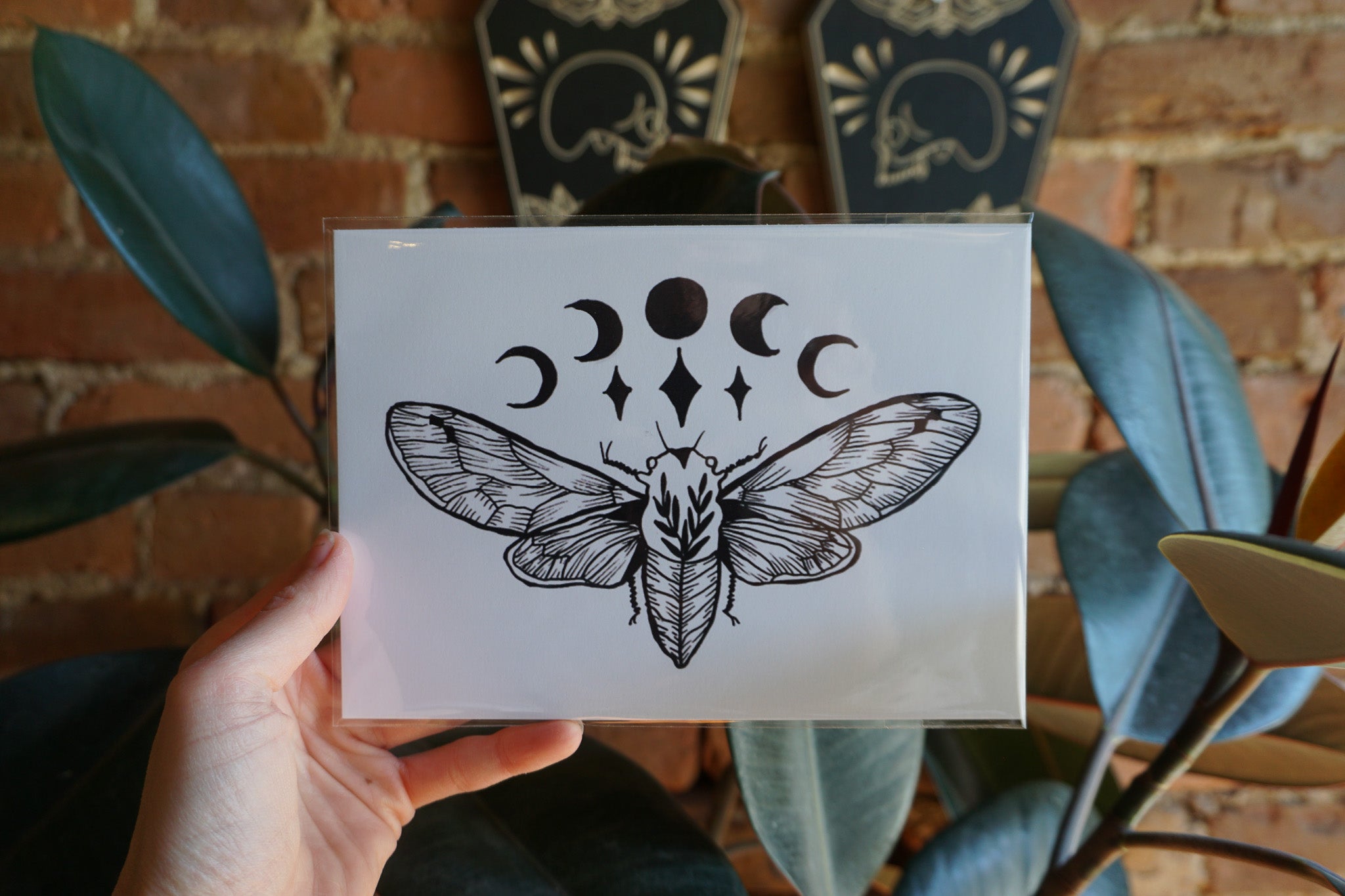 Cicada Moon Print