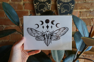 Cicada Moon Print