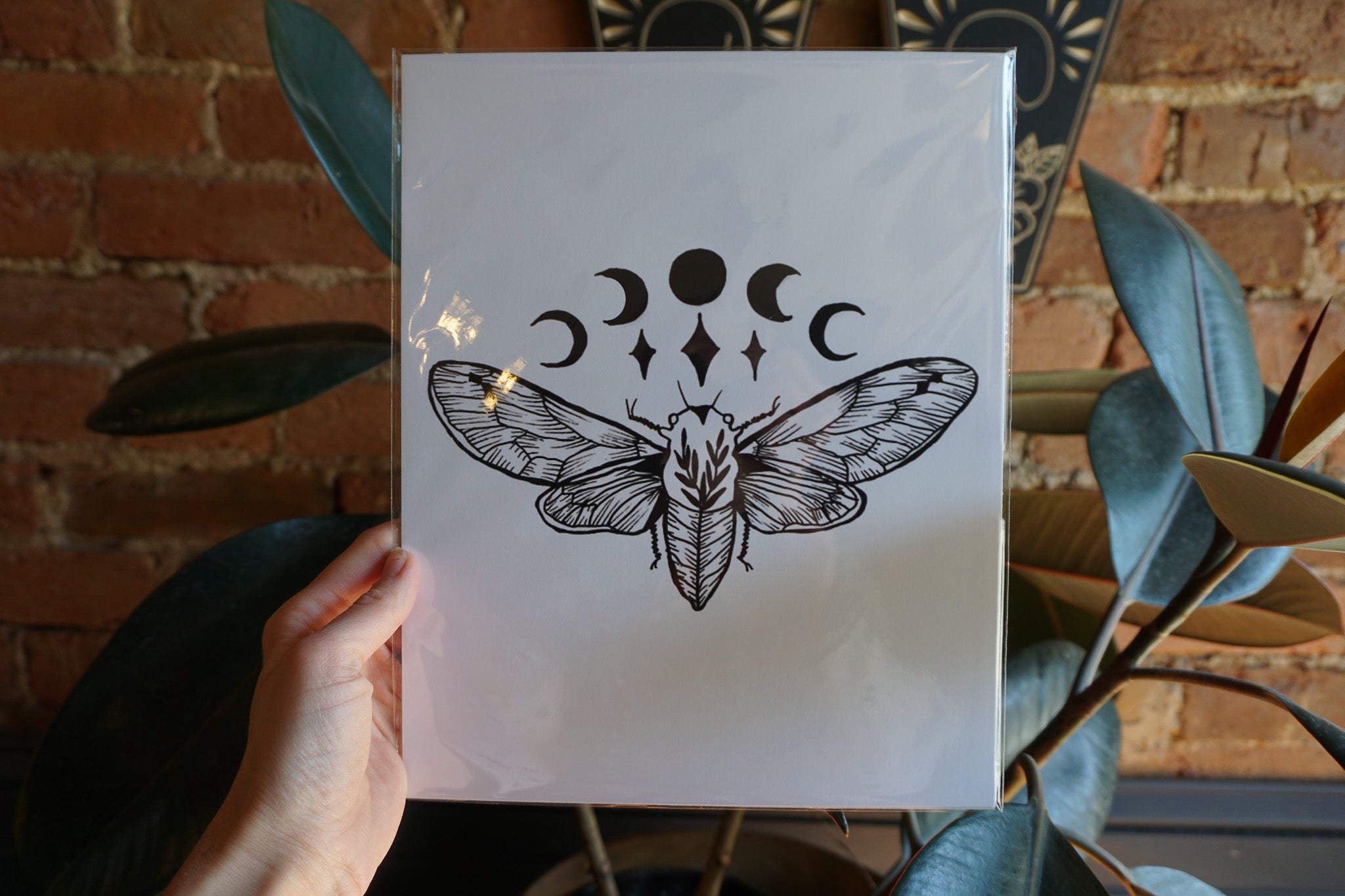 Cicada Moon Print