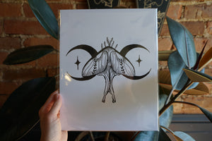 Luna Moth Print