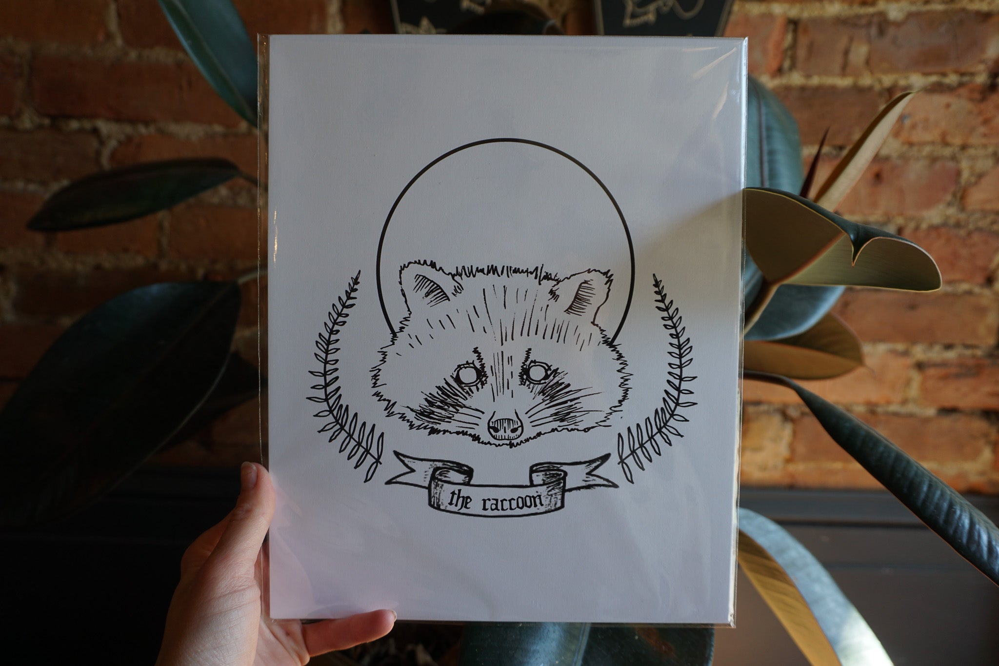 "The Raccoon" Print