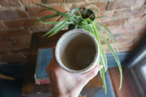 14oz Rabbit Moon Tumbler