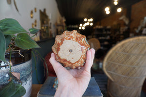 Small Handbuilt Planter
