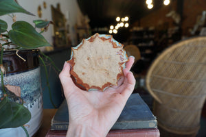 Small Handbuilt Planter
